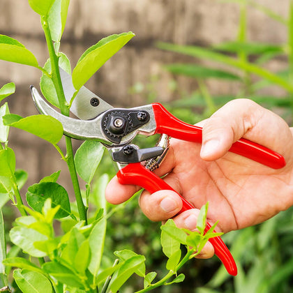 Garden Tools