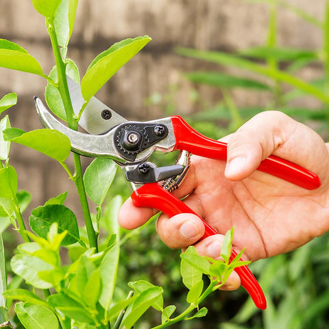 Garden Tools