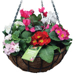 Wire Hanging Baskets