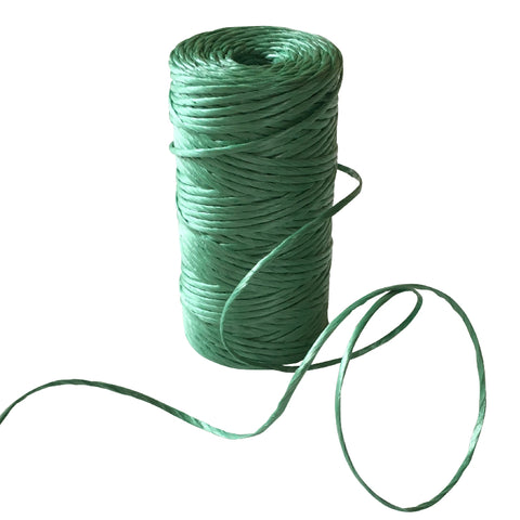 PP String