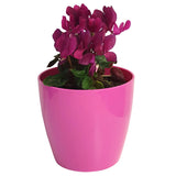 Rio Coloured Cover Pots