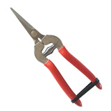 Grape Snips