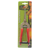 Grape Snips